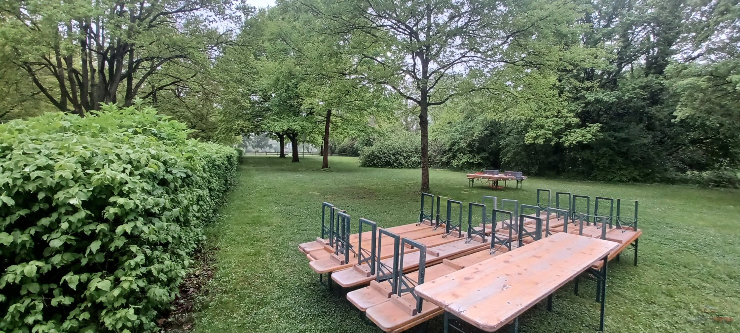 Corvette_Sunday_2022_Chris (3).jpg